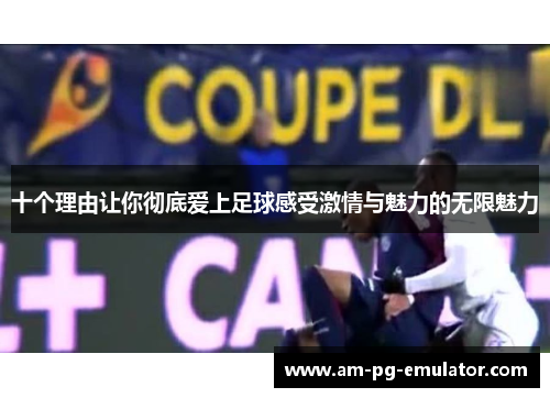 十个理由让你彻底爱上足球感受激情与魅力的无限魅力 十个理由让你彻底爱上足球感受激情与魅力的无限魅力