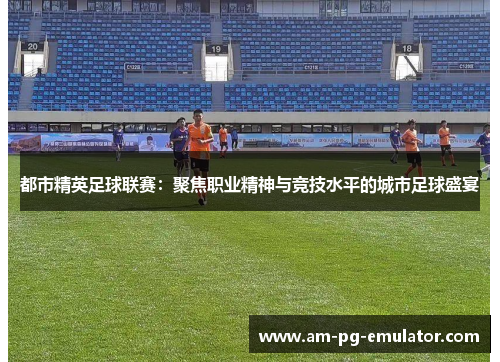 都市精英足球联赛：聚焦职业精神与竞技水平的城市足球盛宴