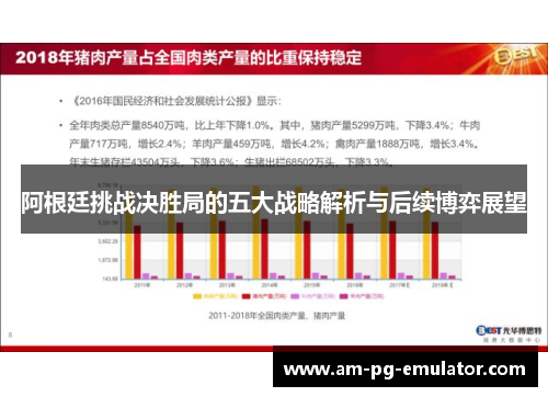 阿根廷挑战决胜局的五大战略解析与后续博弈展望
